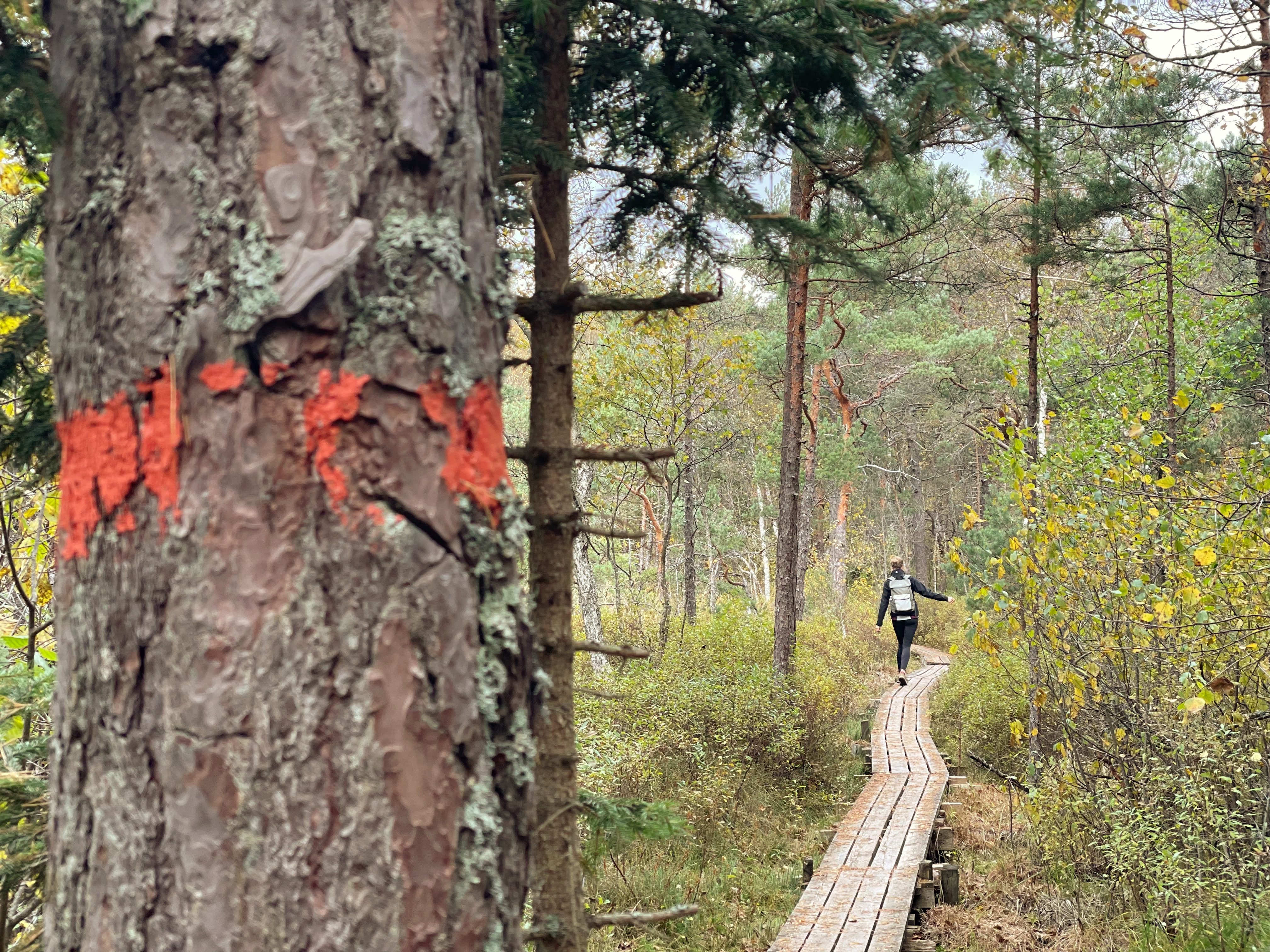 vandring på sörmlandsleden