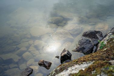 Sjön Yngern