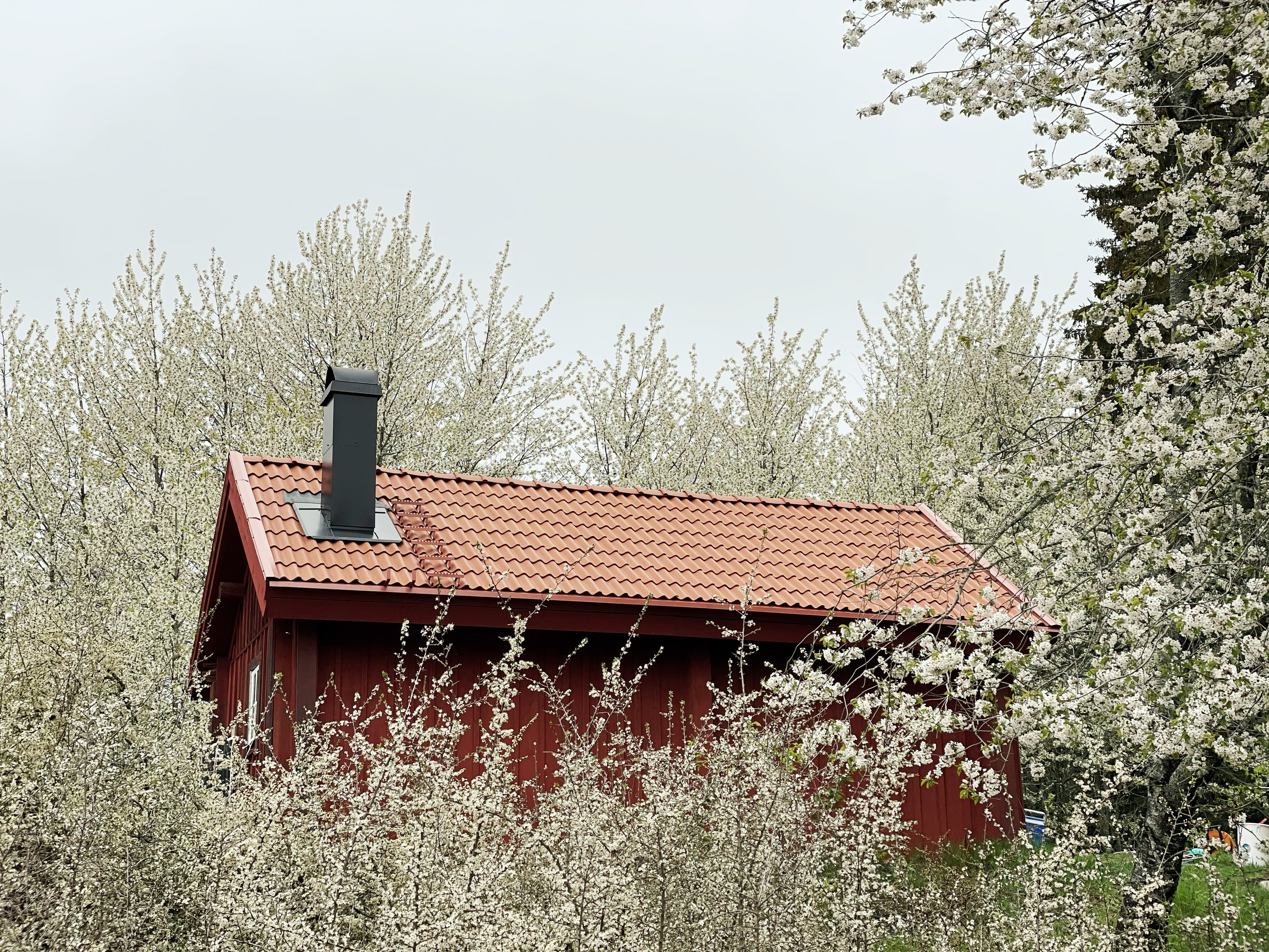 Timmerstugan i blomsterskrud